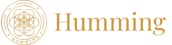 humming-mobile-logo-transparent-1
